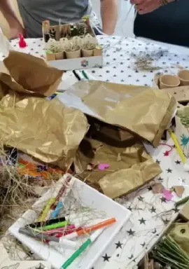 TALLER INSECTES (10)